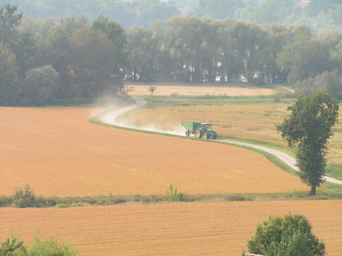 Agriturismo Le Risaie Basiglio Kültér fotó
