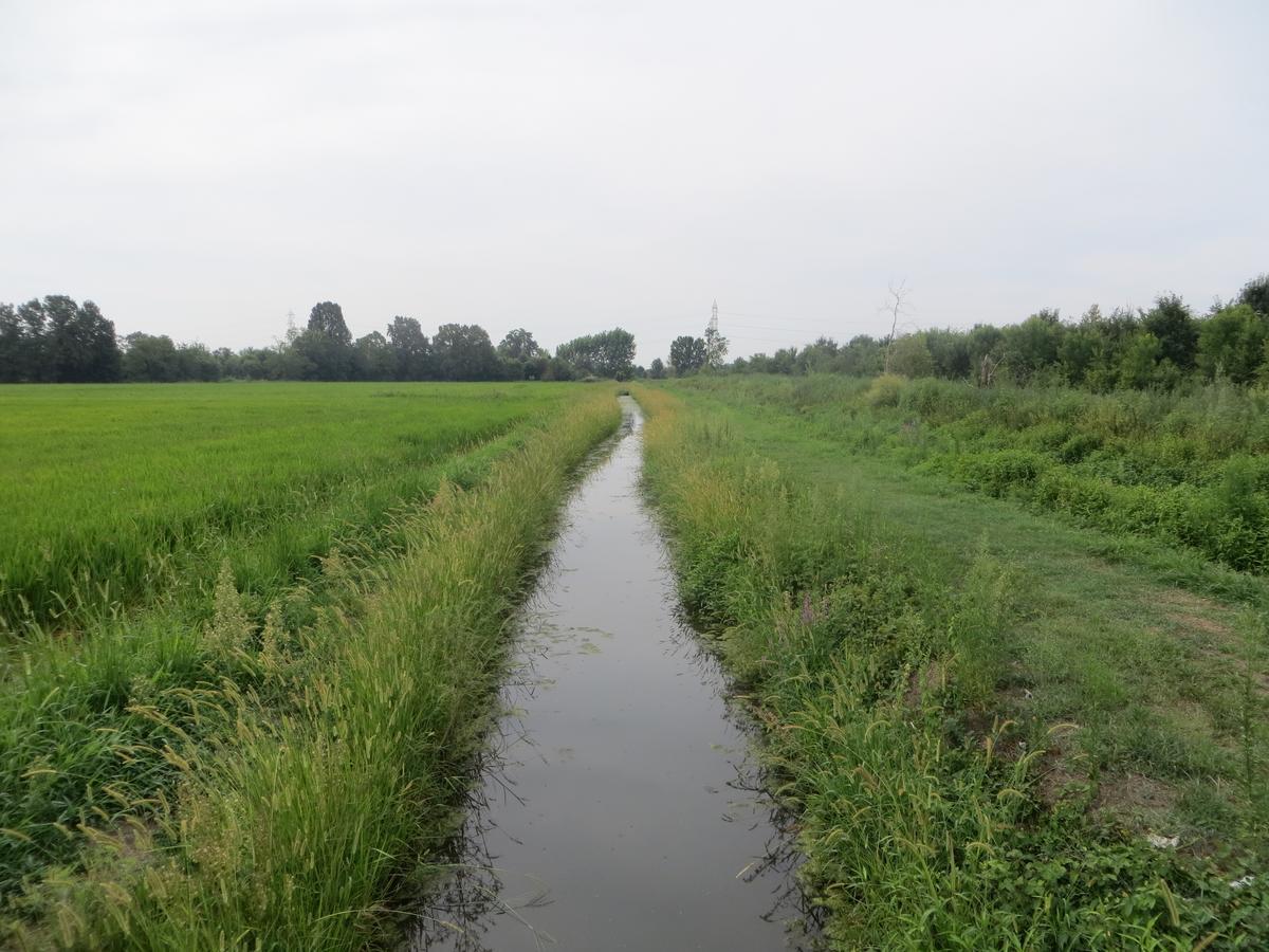 Agriturismo Le Risaie Basiglio Kültér fotó