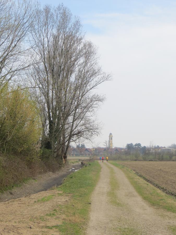 Agriturismo Le Risaie Basiglio Kültér fotó