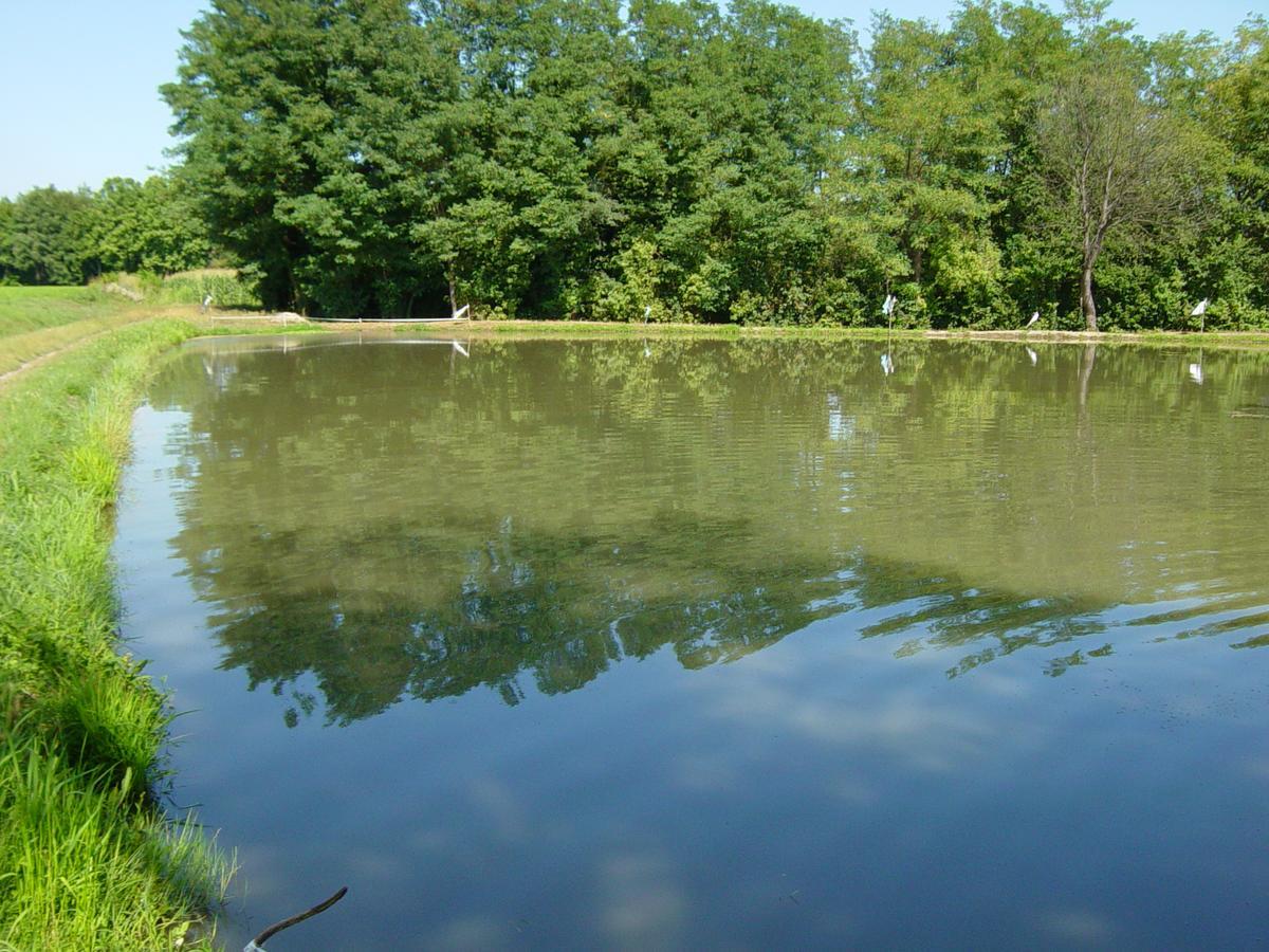 Agriturismo Le Risaie Basiglio Kültér fotó